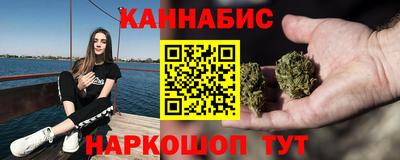 крисы Камышлов