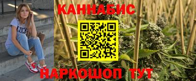 крисы Камышлов