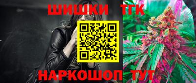 крисы Камышлов