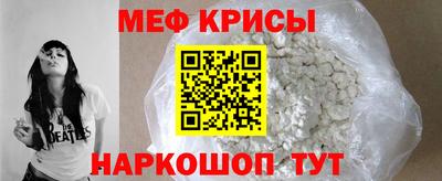крисы Камышлов