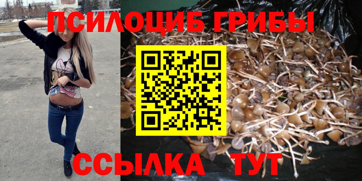 Псилоцибиновые грибы мухоморы  Галлюциногенные грибы Cubensis  Вход с VPN  Коммунар 