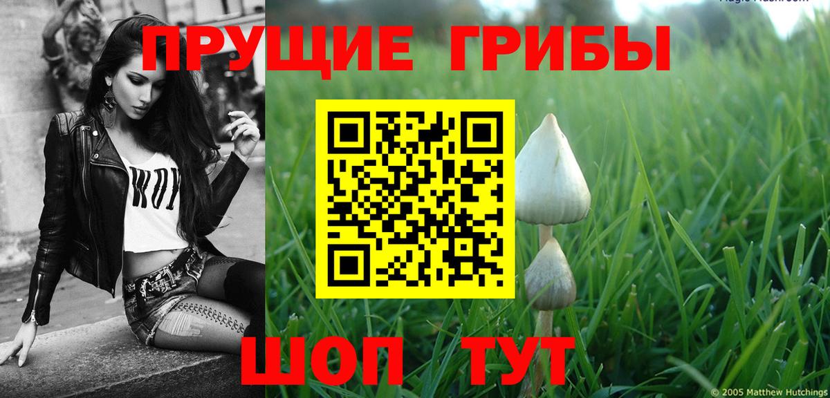 Галлюциногенные грибы Magic Shrooms Коммунар